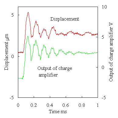 step response of displacement and induced charge
