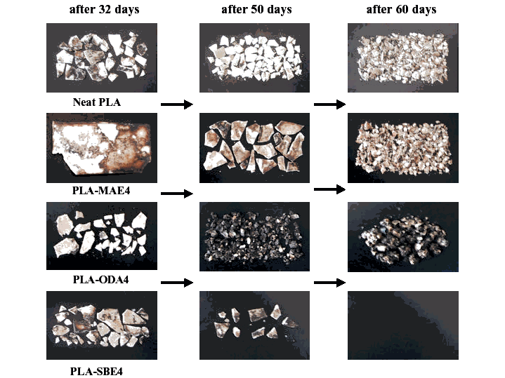 Polymer/layered silicate