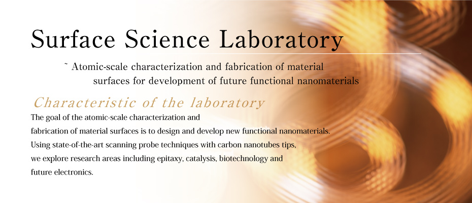 Surface Science Laboratoy