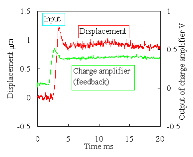 induced charge feedback control