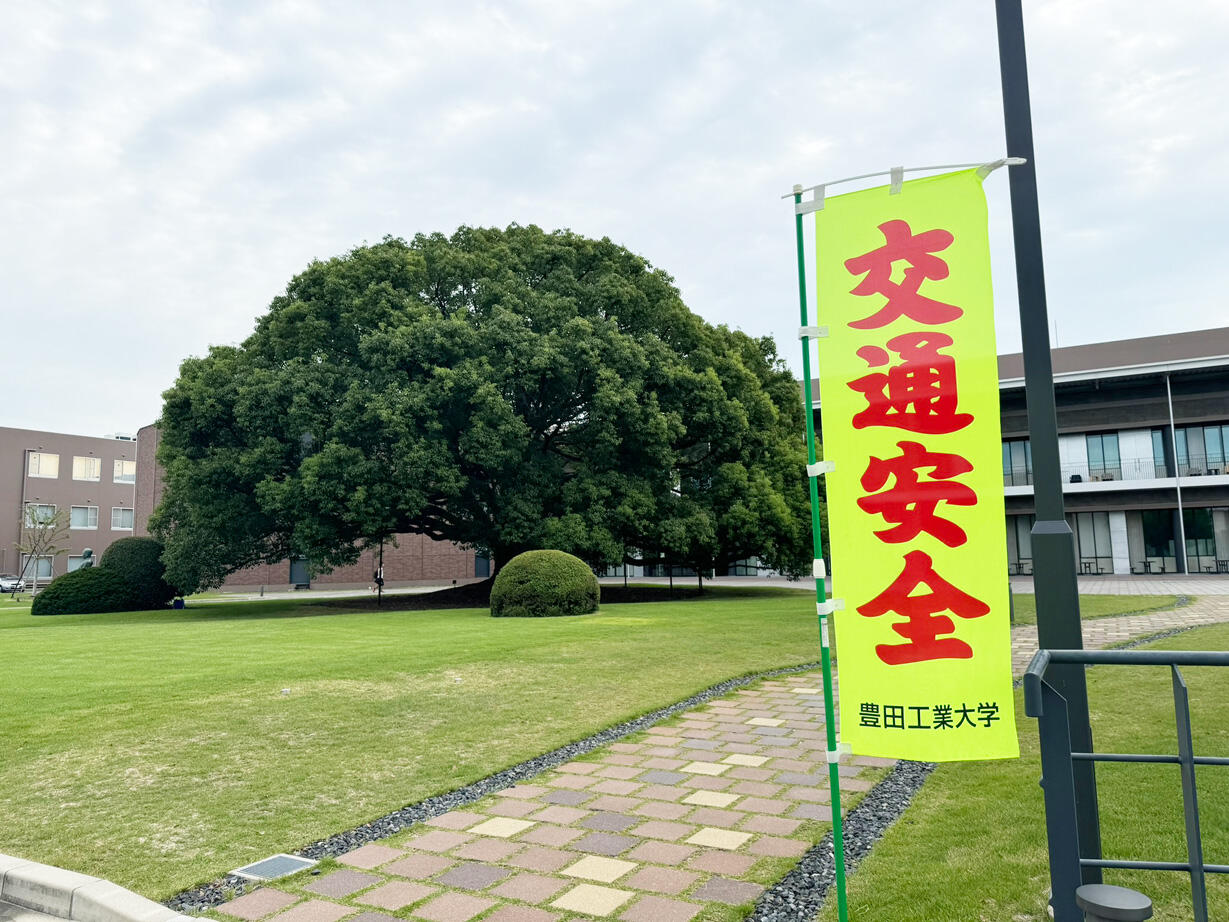 re_IMG_0919.jpg