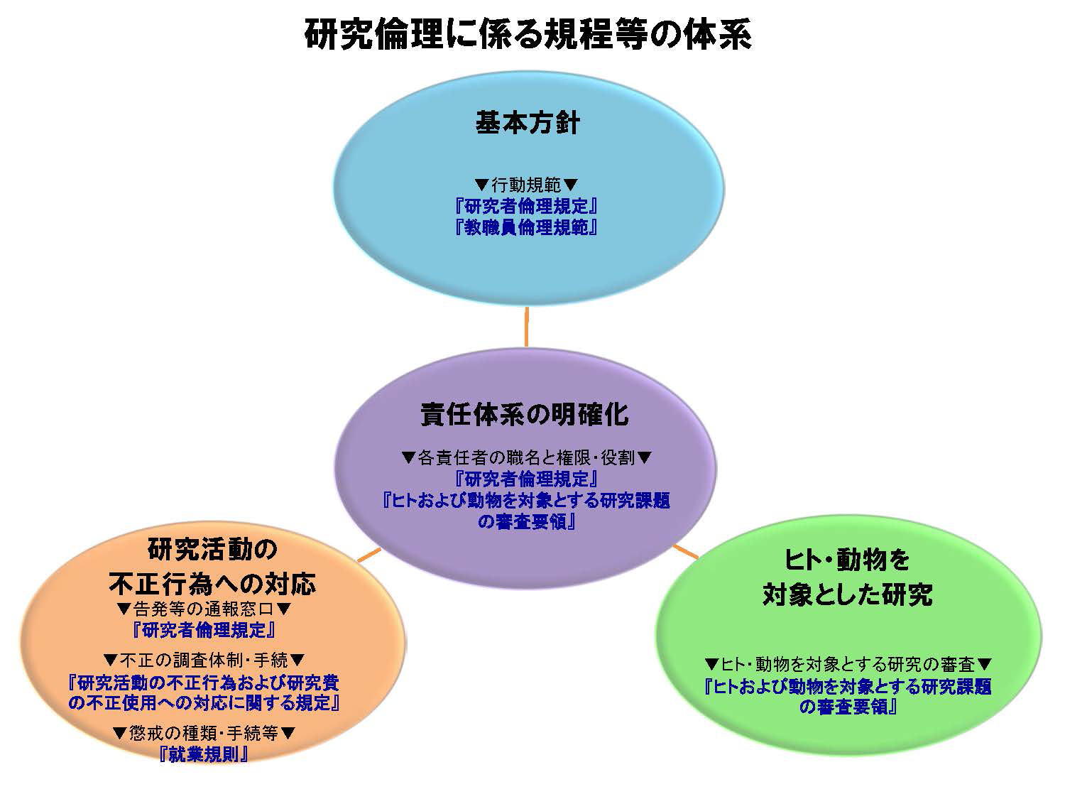 研究倫理に係る規定等の体系