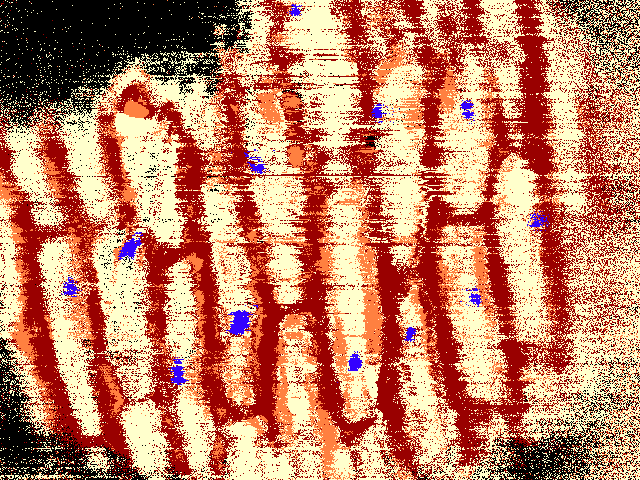 onion_bettercolor.png