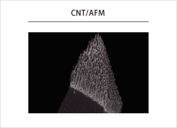 CNT/AFM