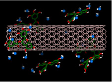 Molecule adsorption on/in CNTs