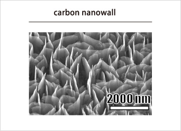 carbon nanowall