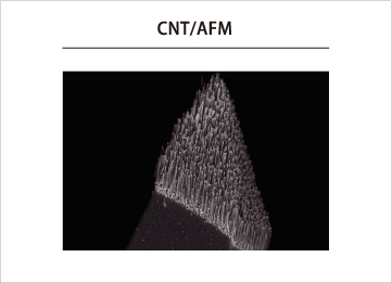 CNT/AFM